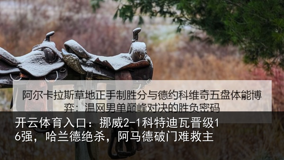 开云体育入口：挪威相关情况兰德相关情况救主