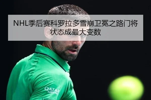 NHL季后赛科罗拉多雪崩卫冕之路门将状态成最大变数